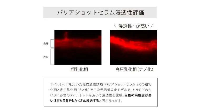 ヒト型セラミドを、希少な2％高濃度で。うるおいの核心へ導く角層ケア美容液「バリアショットセラム 2.0」がトゥヴェールから新発売 画像 4