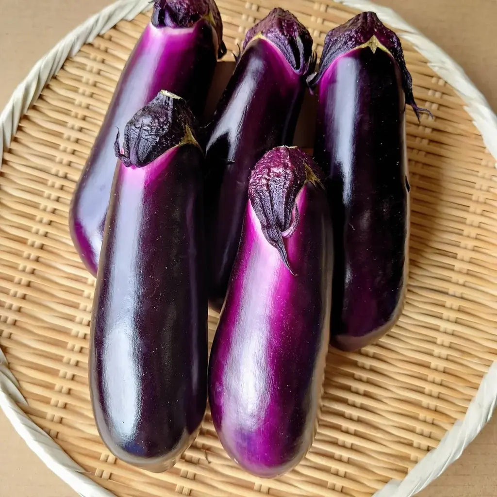 「大阪産なす」を使った特別メニューを数量・期間限定で提供！ 画像 5