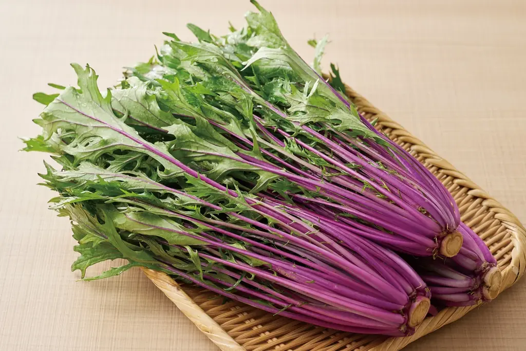 しゃぶしゃぶ温野菜から、“新化系”麻辣湯が登場！ 昨年好評の「旨辛 麻辣湯しゃぶ」が復活。トマト×バジルの「イタリアン麻辣湯」や「スパイシートマト麻辣湯」「ニラ醬麻辣湯」など、アレンジ無限大 画像 10