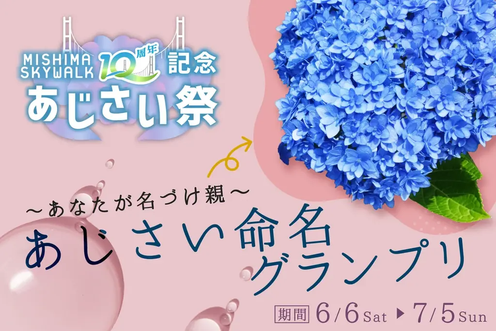 全215種類、13,000株以上のあじさいが7,000㎡の森で見頃に！三島スカイウォーク『あじさい祭』今年も開催！2026年6月6日（土）から7月5日（日）まで期間限定 画像 6