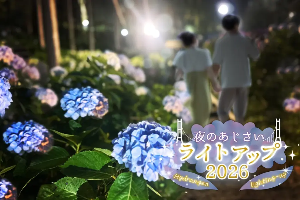 全215種類、13,000株以上のあじさいが7,000㎡の森で見頃に！三島スカイウォーク『あじさい祭』今年も開催！2026年6月6日（土）から7月5日（日）まで期間限定 画像 8