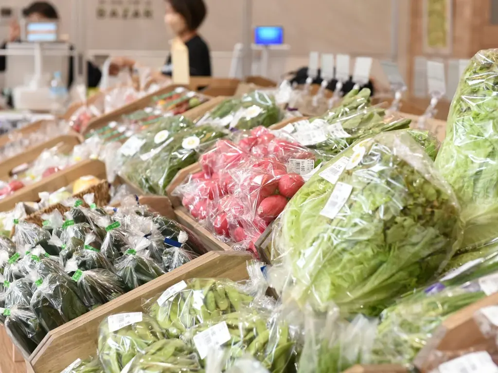 JR立川駅「エキュート立川」「私の街の、おいしいごちそう。」地産地消フェア初開催！立川産ブルーベリーのシュークリームやタルト、多摩エリア産の卵・軍鶏肉・野菜を使用した新作茶碗蒸しなどが登場！ 画像 20