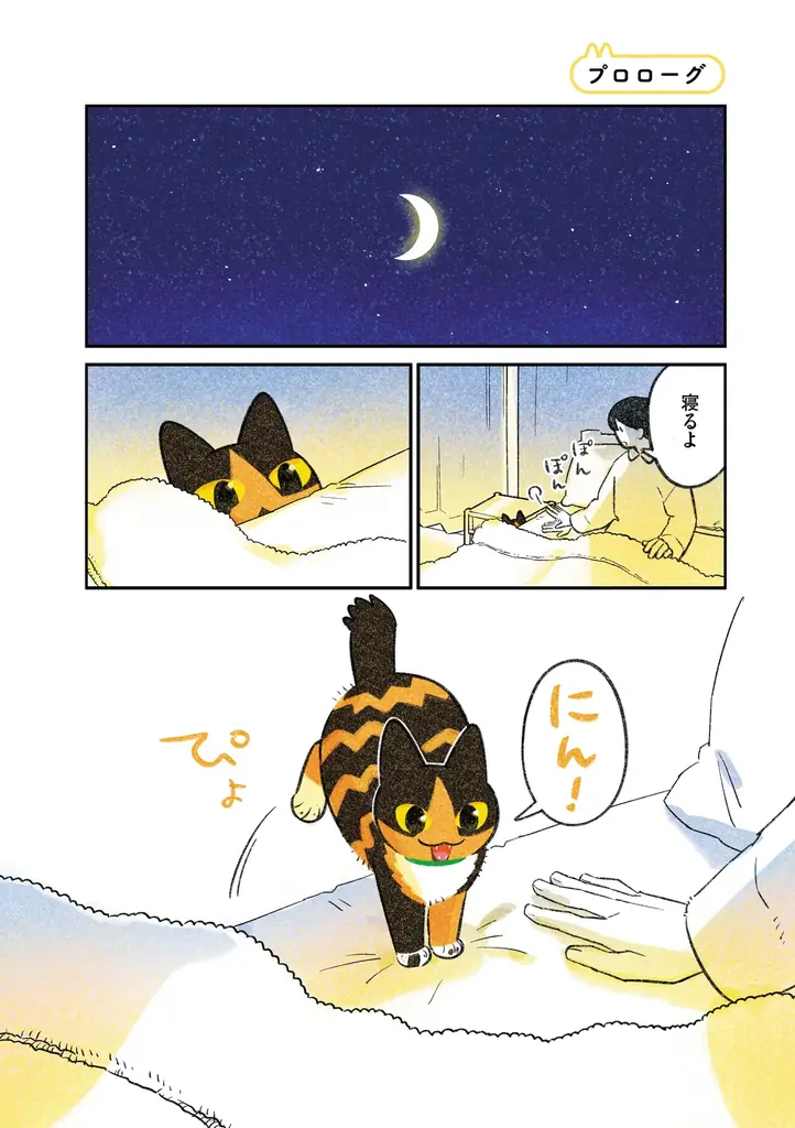 ふじひと氏3年ぶり待望の新作『ひび猫にっき』が2026年5月20日（水）発売！ 画像 2