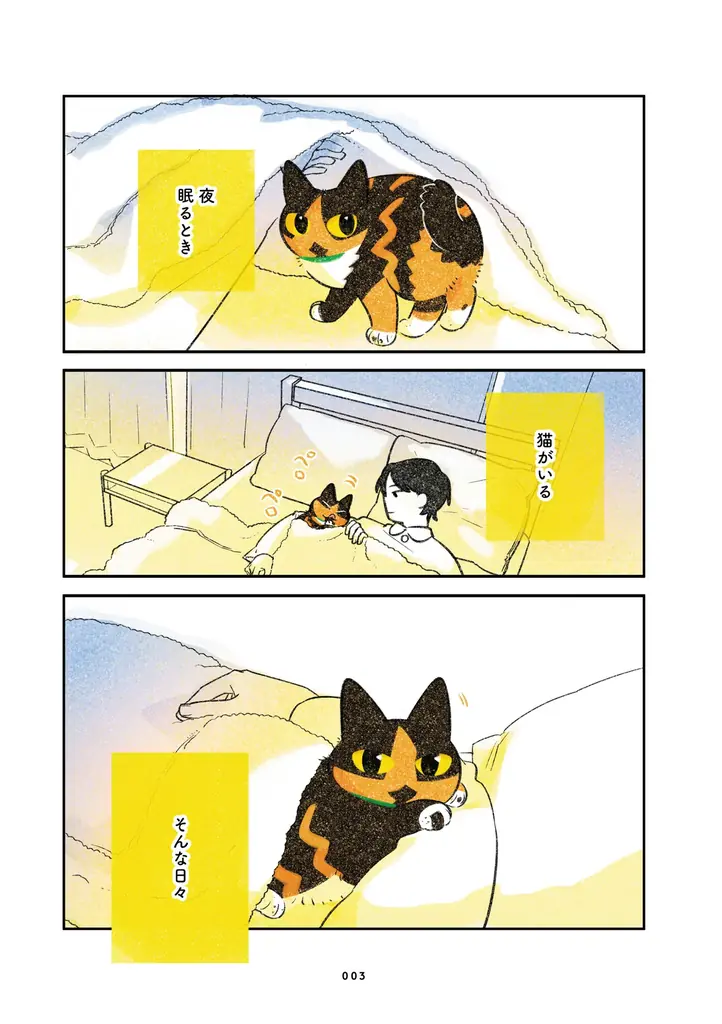 ふじひと氏3年ぶり待望の新作『ひび猫にっき』が2026年5月20日（水）発売！ 画像 3