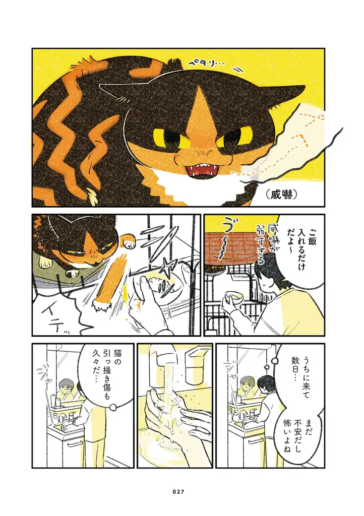 ふじひと氏3年ぶり待望の新作『ひび猫にっき』が2026年5月20日（水）発売！ 画像 4