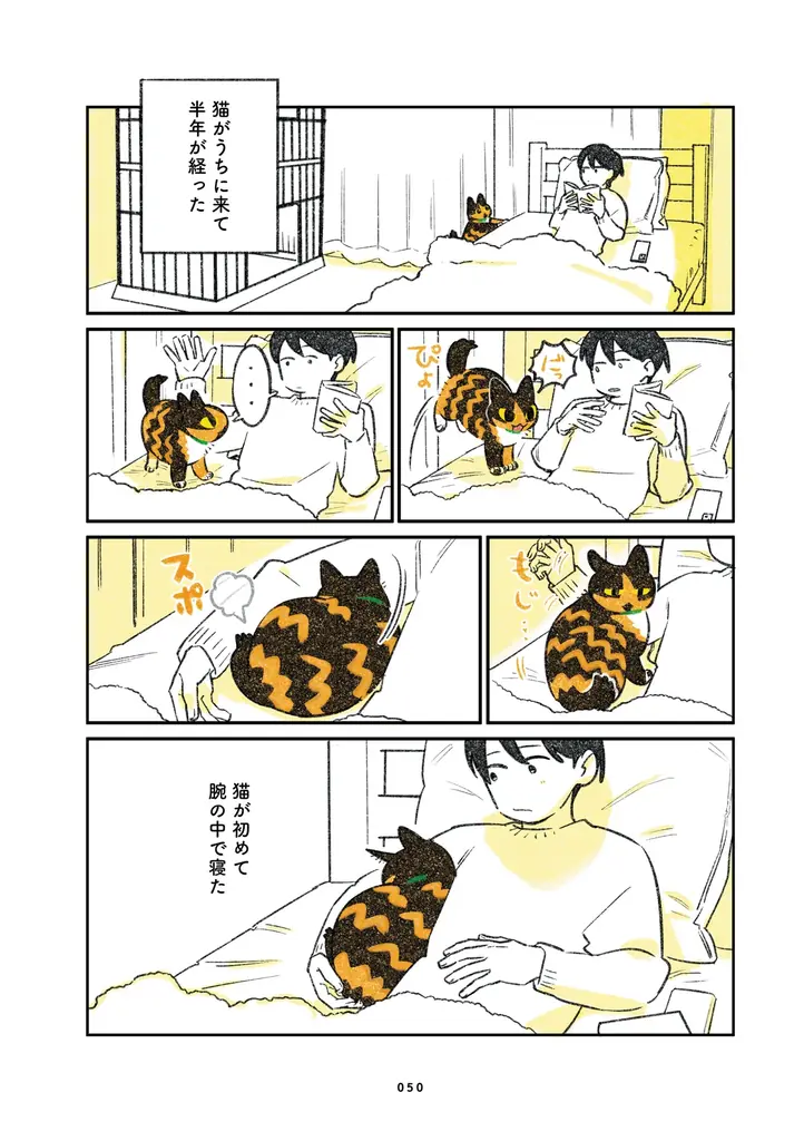 ふじひと氏3年ぶり待望の新作『ひび猫にっき』が2026年5月20日（水）発売！ 画像 5