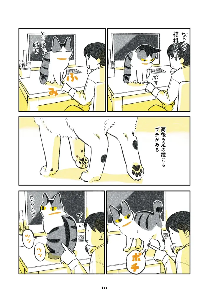 ふじひと氏3年ぶり待望の新作『ひび猫にっき』が2026年5月20日（水）発売！ 画像 7