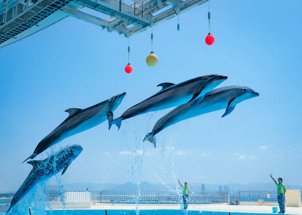 今年の夏も“食べる水族館”がやってくる！マリンワールド海の中道の人気者が勢ぞろい。「アクアリウムデザートビュッフェ 2026 ～Friends of the Sea～」開催 画像 7