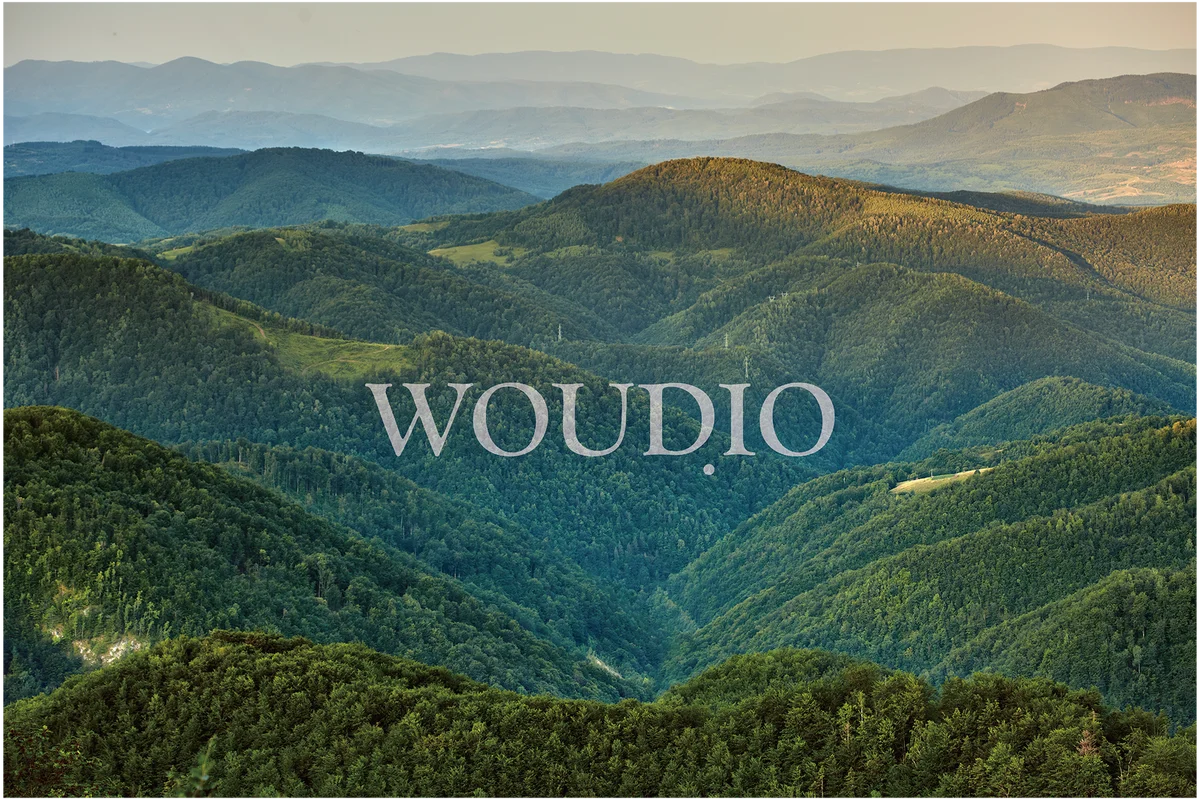 NOSIGNER 代表 太刀川英輔、多言語オーディオガイド「WOUDIO」をローンチ。横浜マリンタワー公式音声ガイドとして6月2日（火）より導入開始。観光DXを促進。 画像 1