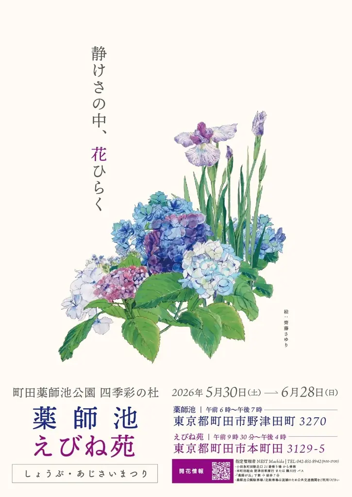 【町田】約2,200株の花ショウブと約6,000株のアジサイが彩る、初夏の花さんぽ 画像 4