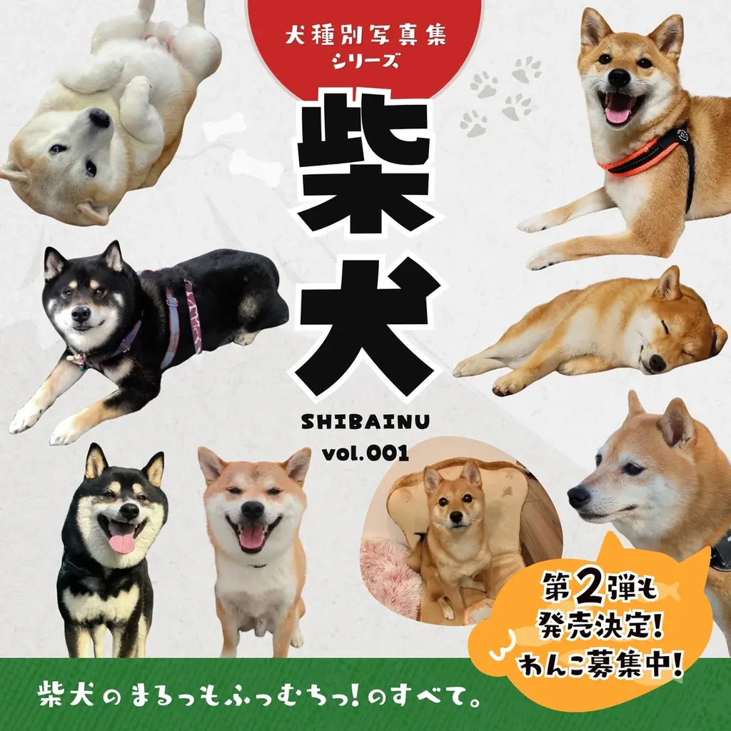 【期間限定】電子書籍版が無料で読める！柴犬だらけ写真集（犬種別写真集シリーズ第1弾「柴犬」）がKindleで期間限定の無料配信 画像 2