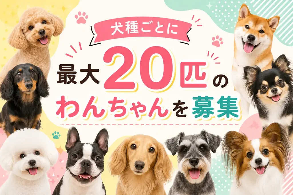 【期間限定】電子書籍版が無料で読める！柴犬だらけ写真集（犬種別写真集シリーズ第1弾「柴犬」）がKindleで期間限定の無料配信 画像 4