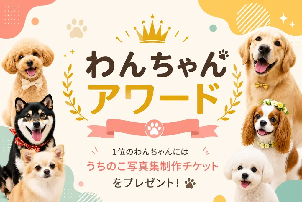 【期間限定】電子書籍版が無料で読める！柴犬だらけ写真集（犬種別写真集シリーズ第1弾「柴犬」）がKindleで期間限定の無料配信 画像 8