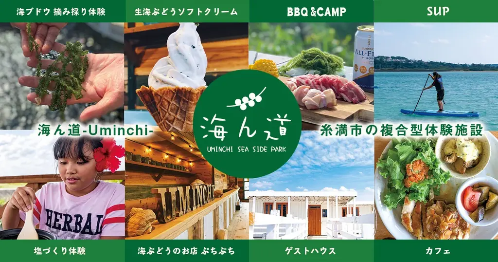 年間5万人が訪れる海ぶどうテーマパーク「海ん道」が期間限定で池袋に登場！ 画像 6
