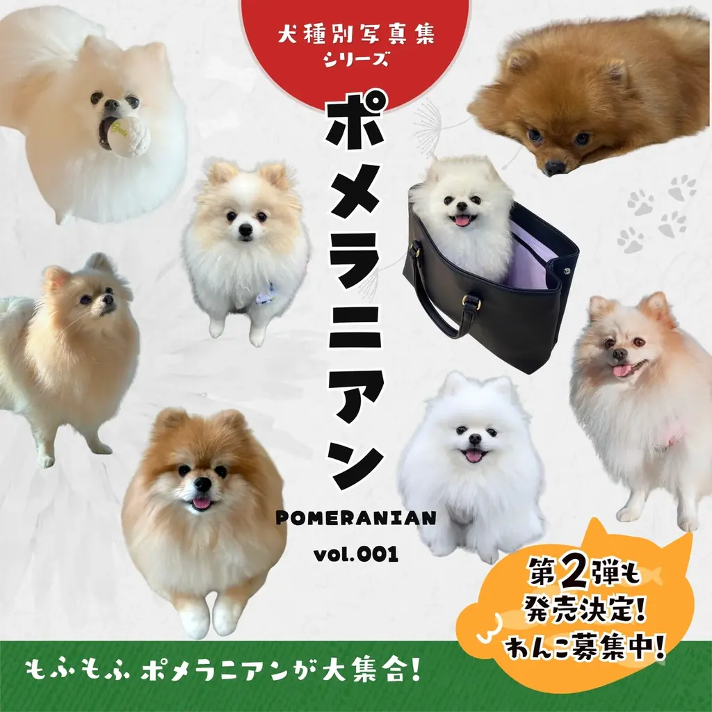 【新刊発売】全国の“うちのこ”が大集合！ふわふわポメまみれになれる参加型写真集『ポメラニアンvol.001』が4月22日よりAmazonにて発売開始！ 画像 1