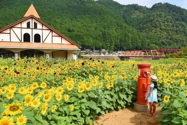 「ぎふワールド・ローズガーデン」の春バラが満開。あわせて巡りたい、東美濃〜中濃を周遊できる「初夏の花めぐり周遊ルート」紹介 画像 7
