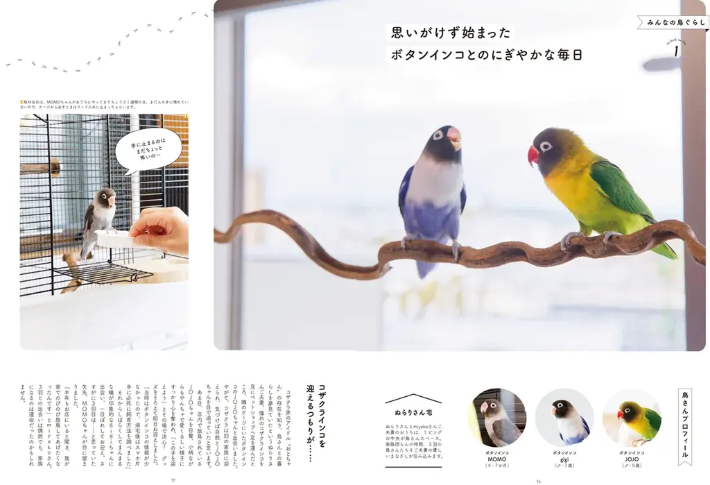 鳥との暮らしの情報源、『鳥ぐらし』バックナンバーを７冊セットでプレゼント！ 画像 2