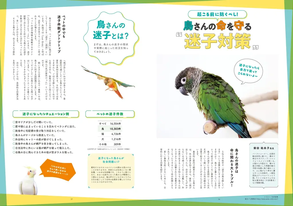 鳥との暮らしの情報源、『鳥ぐらし』バックナンバーを７冊セットでプレゼント！ 画像 3