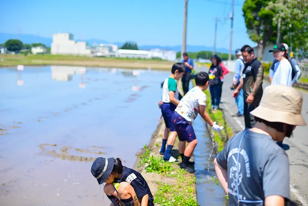田んぼリンピック2026、狭山で親子の絆を育む。農業体験を通じて地域愛と食育を促進します。 画像 7