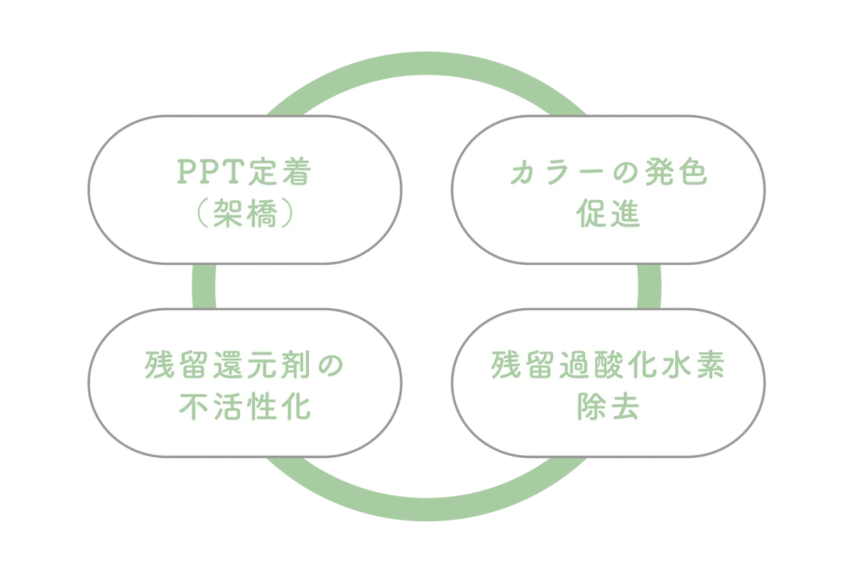 『全ての施術が髪質改善になるたったひと手間の感動』プレックス系髪質改善処理剤「コアロック」が新登場。2026年6月23日より、全国の理美容室にて取り扱いを開始。 画像 3