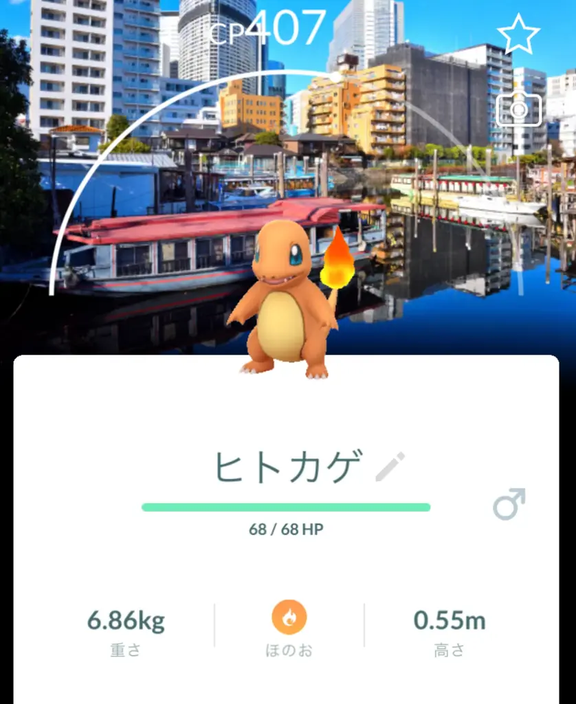 いよいよ開催！『ポケモン GO』10周年を飾る過去最大規模の祭典「Pokémon GO Fest 2026：東京」が5月29日（金）よりスタート！ 画像 5