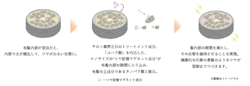 【新発売】オルビスのロングセラーアイテム『エッセンスインシリーズ』より、 サロンで話題の施術「超音波トリートメント」発想※1のヘアオイルが誕生！翌朝までツヤが続く髪へ。 画像 2