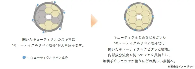 【新発売】オルビスのロングセラーアイテム『エッセンスインシリーズ』より、 サロンで話題の施術「超音波トリートメント」発想※1のヘアオイルが誕生！翌朝までツヤが続く髪へ。 画像 3