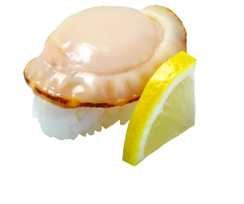 【はま寿司】三陸産銀鮭とホッケの天ぷら握りが100円（税込110円）！「はま寿司のにっぽん旨ねた祭り 第2弾」を開催！ 画像 5