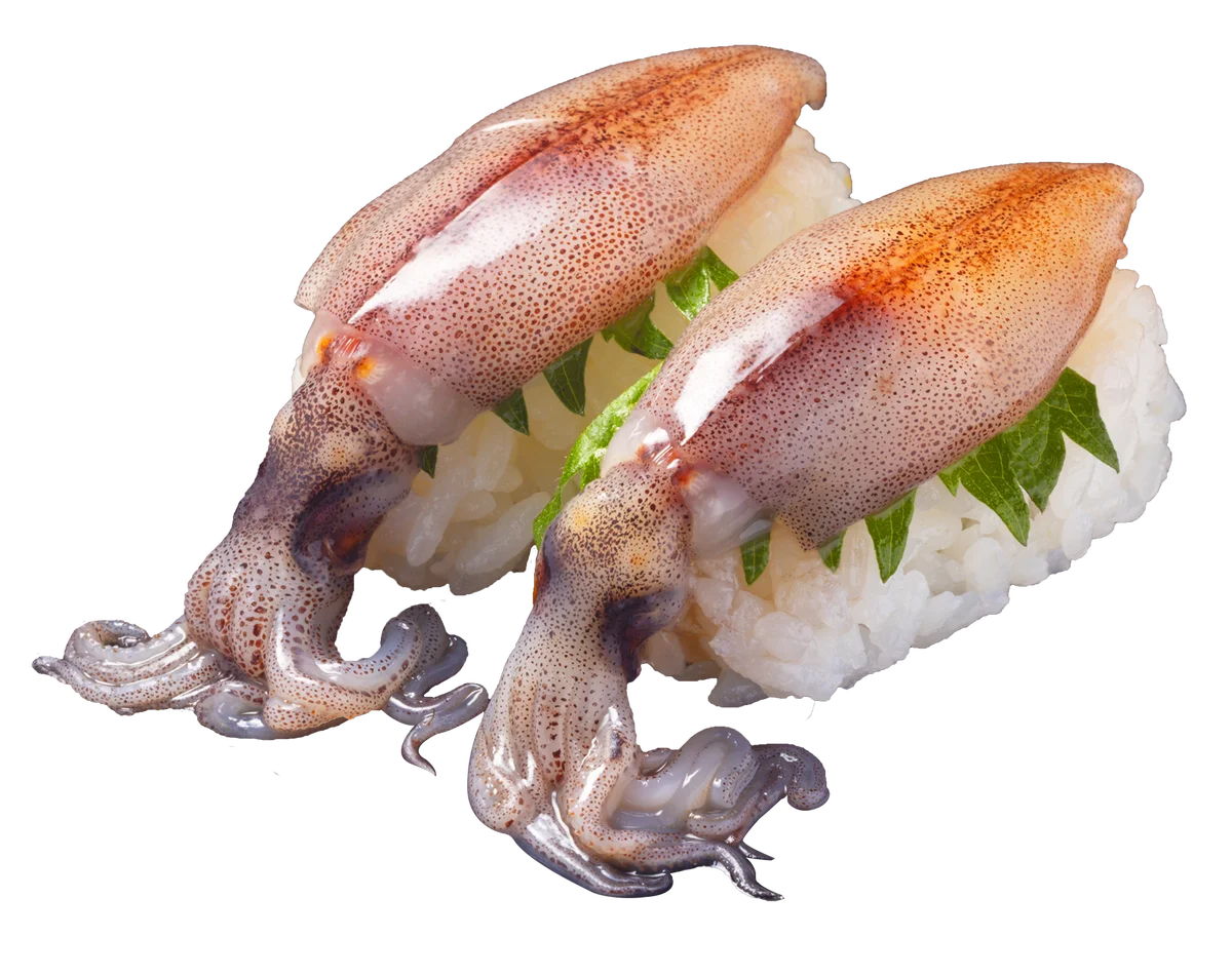 【はま寿司】三陸産銀鮭とホッケの天ぷら握りが100円（税込110円）！「はま寿司のにっぽん旨ねた祭り 第2弾」を開催！ 画像 6