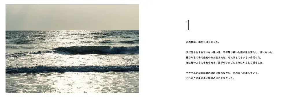 吉本興業所属ネイチャーフォトグラファ―・上田優紀写真集『ARCA この星の物語』　2026年6月18日（木）発売！ 画像 5