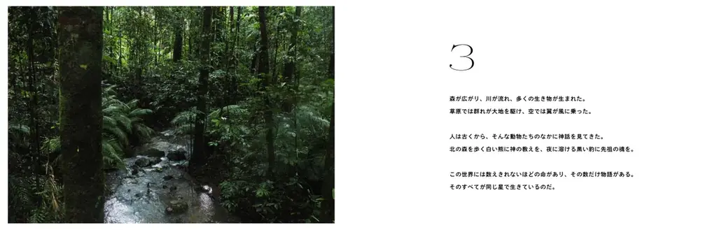 吉本興業所属ネイチャーフォトグラファ―・上田優紀写真集『ARCA この星の物語』　2026年6月18日（木）発売！ 画像 6