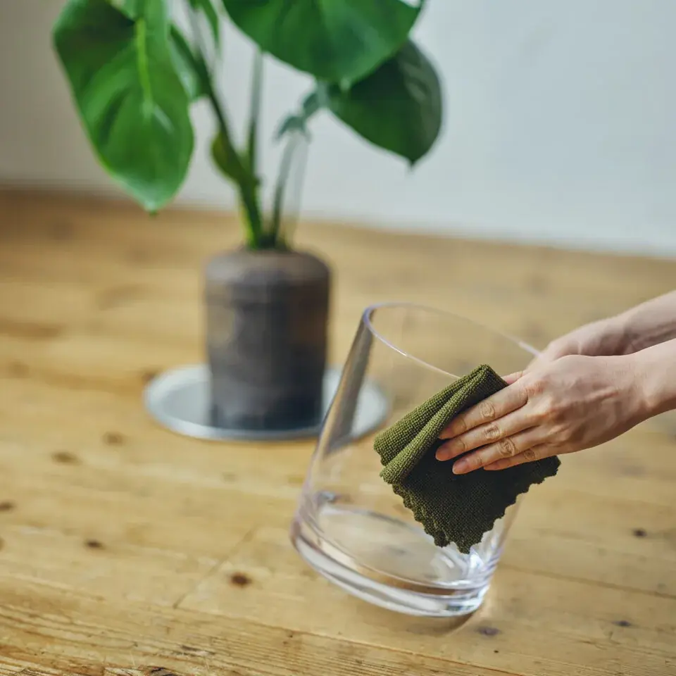 【土を使わないグリーンブランド「&Green」】新商品「Simple Green L」を2026年5月26日（火）にリリース 画像 5