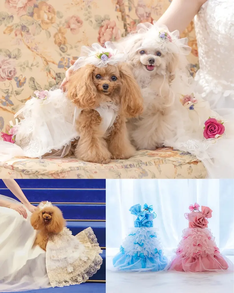 【阪急うめだ本店】初開催！ドレスの祭典「DRESS FES」話題の韓国ウェディングフォトが大阪で叶う！ 画像 10