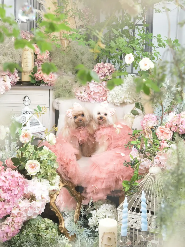 【阪急うめだ本店】初開催！ドレスの祭典「DRESS FES」話題の韓国ウェディングフォトが大阪で叶う！ 画像 13