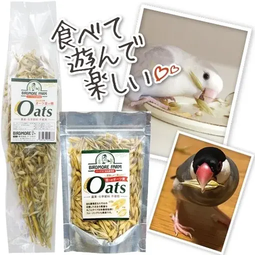 【阪神梅田本店】約100名の鳥作家が集結！「小鳥ガーデン」が今年さらにパワーアップして開催いたします 画像 8