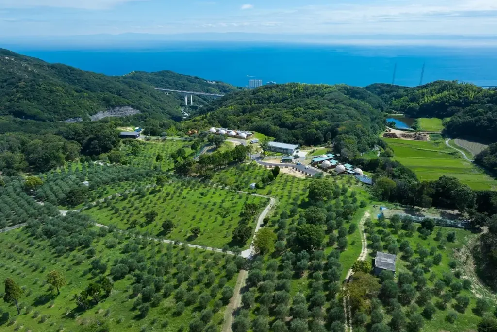 【2026年7月開業】淡路島の美食とオリーブに包まれる、全室プライベートプール付きヴィラ「ヴィラバージンバレー淡路」誕生 画像 2