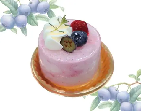 【ホテルグランヴィア和歌山】夏を彩る甘酸っぱさ！初夏のきらめき 「ブルーベリーフェア」開催！ 画像 6