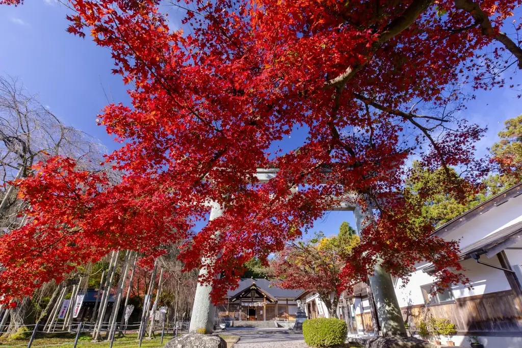 【福井県福井市】街全体が一つのテーマパークになる音楽フェス「ONE PARK FESTIVAL 2026」開催（9月5日・6日）ガバメントクラウドファンディング受付中（8月25日17時59分まで） 画像 14