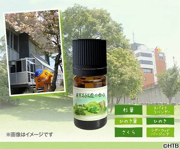 『水曜どうでしょう』の“あの公園”をお部屋で再現！？ 画像 3