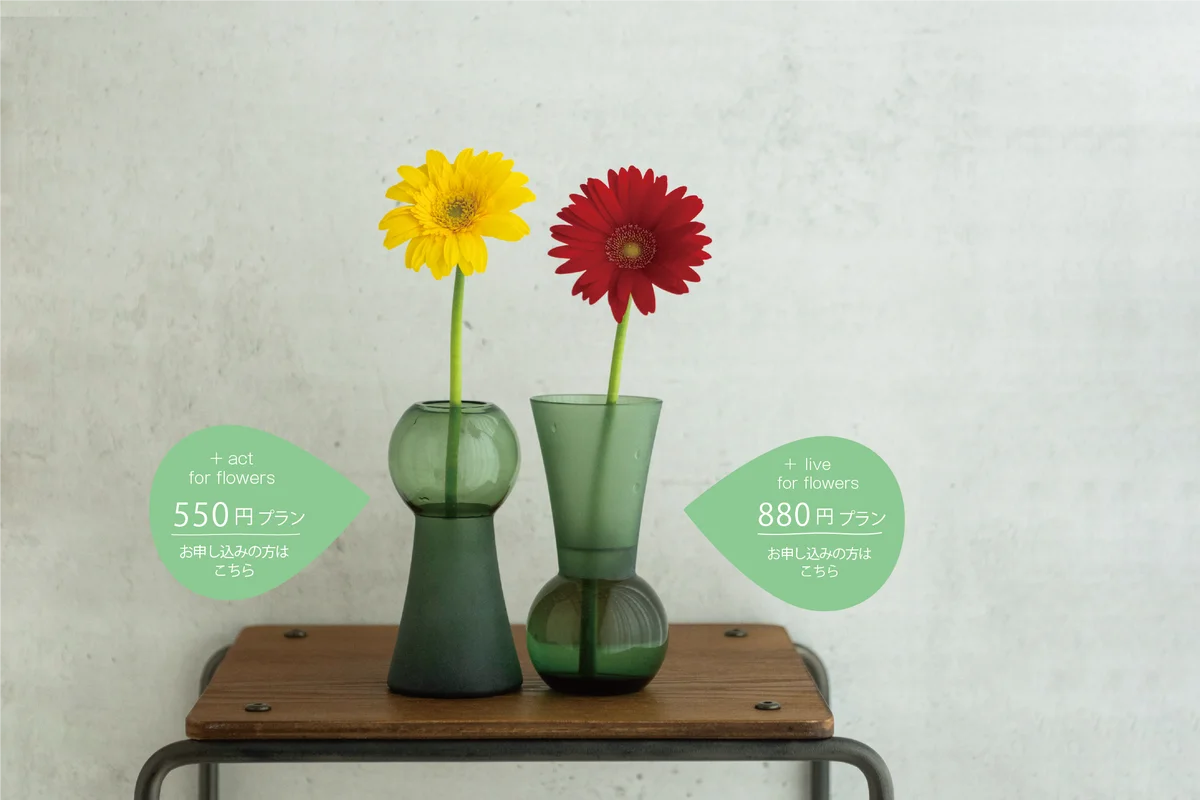 雨の日にも、花を。 +hana「めぐる花、めぐる暮らし。」今だけ花瓶プレゼント キャンペーン 画像 2