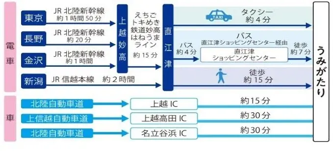 【上越市立水族博物館 うみがたり】世代を超えて愛されるリラックマが、ついに水族館と初コラボイベント！『リラックマ × 上越市立水族博物館 うみがたり』 画像 14