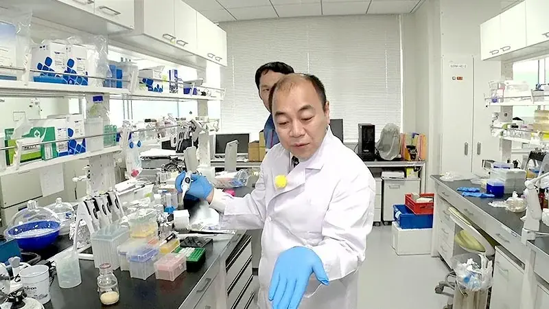 日本をまるごと円グラフで可視化！『ウチワケ社会』第2弾が放送！ 画像 7