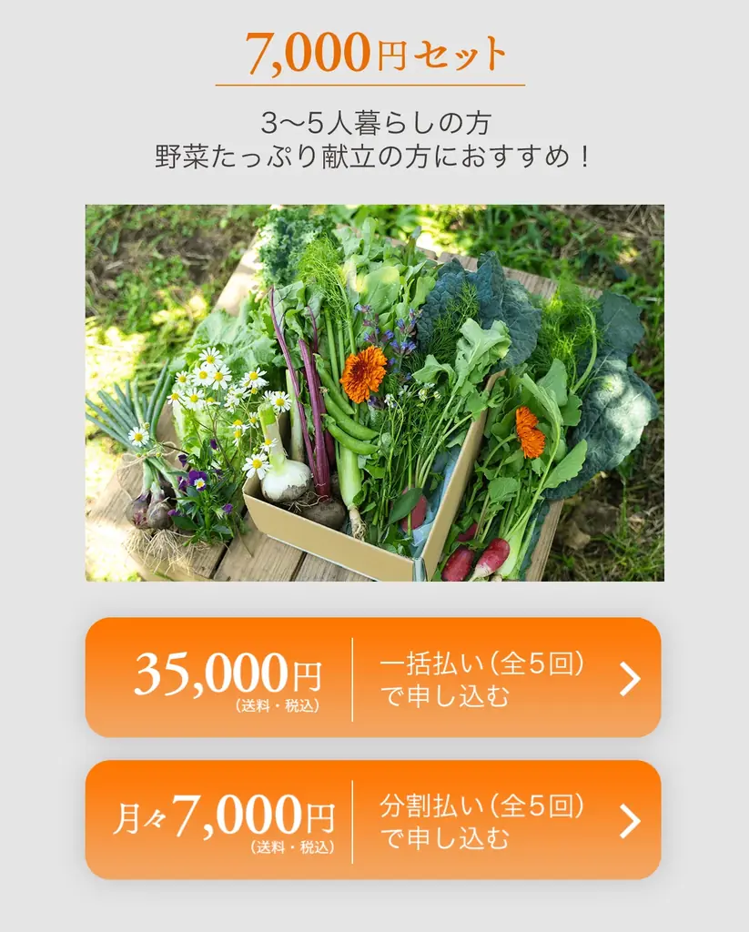 【化粧品ブランド「ELECTORE」が農薬不使用のファームを運営】「ELECTORE FARM」の野菜＆ハーブを、2026年5月より販売 画像 2