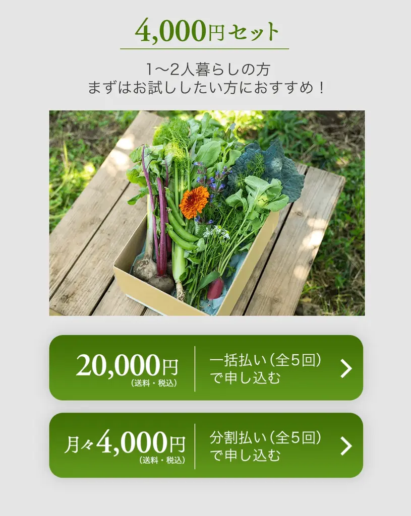 【化粧品ブランド「ELECTORE」が農薬不使用のファームを運営】「ELECTORE FARM」の野菜＆ハーブを、2026年5月より販売 画像 3