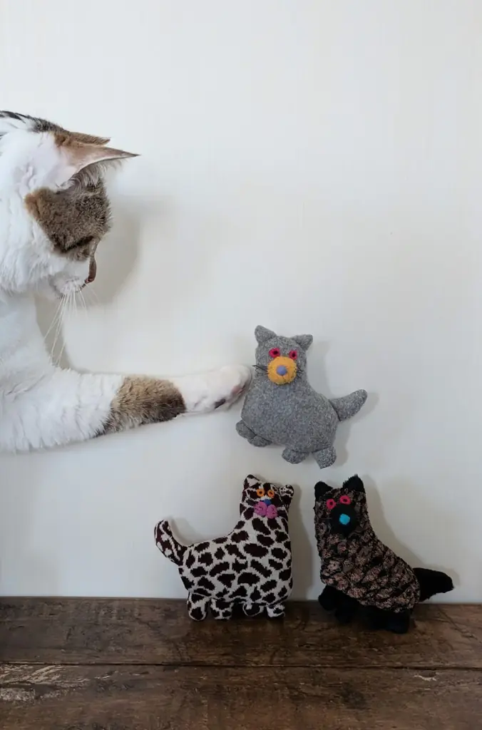 「犬、猫、おやつと星占い」がテーマ。世田谷・下馬のcreative studio marutoで作家やクリエイターが集う「marutoto market」を5月31日開催 画像 4
