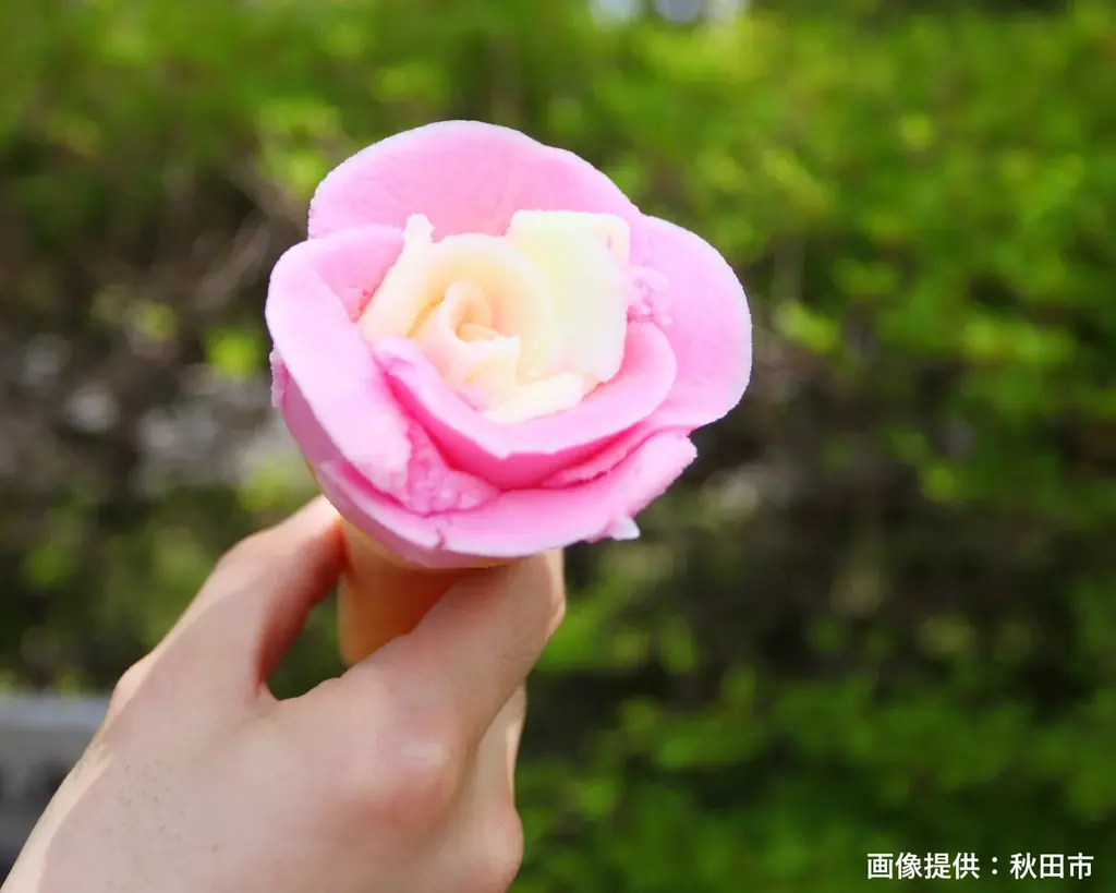 秋田の夏の風物詩「ババヘラ」　ユニフォームを着て売り子さんになり切ろう！　休暇村乳頭温泉郷では、家族で楽しむ体験プログラム「ババヘラアイス盛り付け体験付きプラン」を7月27日より販売 画像 3
