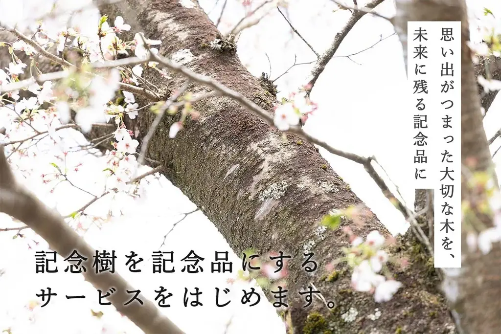 大切な木から記念品製作サービス「tree timeless」を提供開始 画像 1