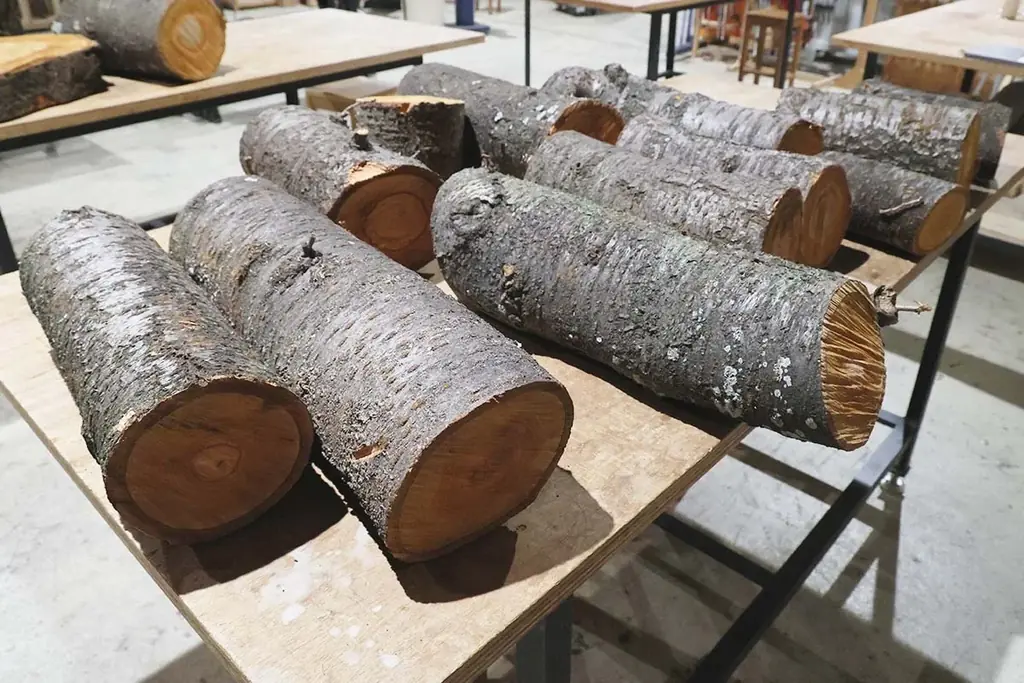 大切な木から記念品製作サービス「tree timeless」を提供開始 画像 2