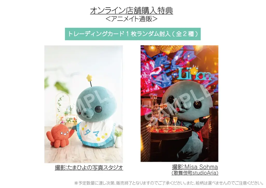 教育番組 タマ、初写真集が発売決定！ 戦場カメラマンからこども写真館まで…【8人のカメラマン】が写し出す、タマの“げんじつとうひ”な姿 画像 8