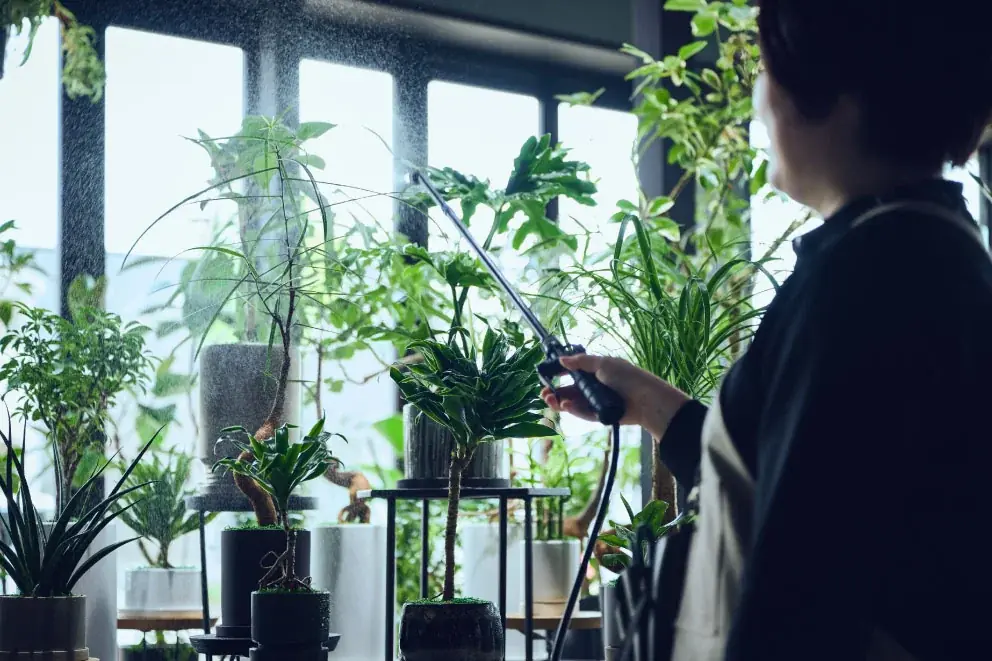 札幌市南区に、植物ケアを手がける植物専門店「PLANTHINK」2026年6月27日（土）オープン 画像 2